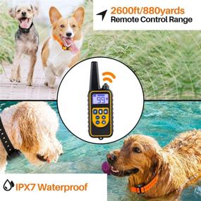 img 2 attached to 🐶 Advanced Dog Training Collars for 2 Dogs: Remote Control, Waterproof, USB Charging - Ideal for Small, Medium, and Large Breeds