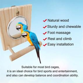 img 2 attached to 🐦 Wooden Perch Hamiledyi Bird Mirror Platform Stand Toys for Birdcages