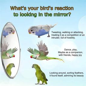 img 1 attached to 🐦 Wooden Perch Hamiledyi Bird Mirror Platform Stand Toys for Birdcages