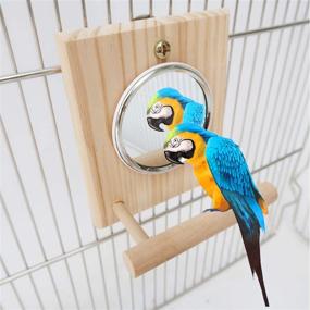 img 3 attached to 🐦 Wooden Perch Hamiledyi Bird Mirror Platform Stand Toys for Birdcages