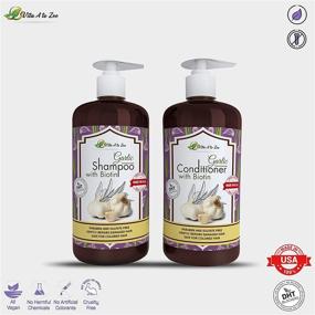 img 1 attached to 🧄 Vita A to Zee Garlic Hair Shampoo & Conditioner: Natural Hair Growth Treatment with Anti DHT Blocker