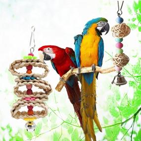 img 3 attached to JIAYUE Bird Parrot Swing Toys - Natural Wood Bungee Bird Toy Set for Small Parrots, Cockatiels, Conures, Finches, Budgies, Macaws - 12pcs Chewing Toys and Cage Accessories
