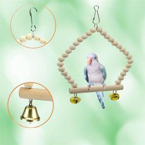 img 2 attached to JIAYUE Bird Parrot Swing Toys - Natural Wood Bungee Bird Toy Set for Small Parrots, Cockatiels, Conures, Finches, Budgies, Macaws - 12pcs Chewing Toys and Cage Accessories