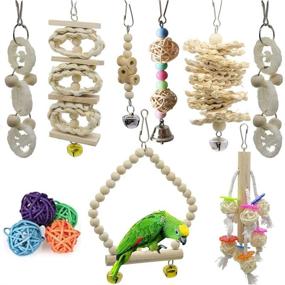 img 4 attached to JIAYUE Bird Parrot Swing Toys - Natural Wood Bungee Bird Toy Set for Small Parrots, Cockatiels, Conures, Finches, Budgies, Macaws - 12pcs Chewing Toys and Cage Accessories