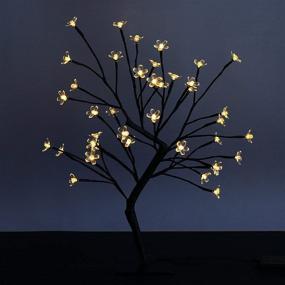 img 1 attached to 🌸 Cherry Blossom Bonsai Tree with 48 LED Lights, Metal Base, UL Listed Adapter, Warm White Lights, Ideal for Night Lights, RGB Color Changing Option for Endless Color Choices