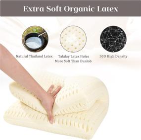 img 2 attached to 🛏️ Ultimate Comfort: Talalay Latex Foam Pillow for Sleeping - Extra Soft Bedding Pillows (Standard Size), Breathable & High Elasticity - Perfect for Supine and Stomach Sleepers, Relieves Shoulder and Neck Pain