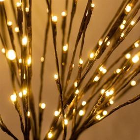 img 2 attached to 30-Inch 60 LED Lighted Twigs with USB Plug - Willow Branches Decorative Lights for Vase, Artificial Tree DIY Lights - Outdoors & Indoors - Romantic Home Decor