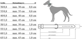 img 2 attached to Hunter HT46489 Тренировочный ошейник для фристайла