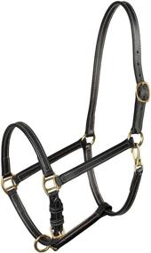 img 2 attached to 🐴 Premium HORZE Fremont Synthetic Leather Horse Halter: Adjustable, Brass Hardware & Contrast Stitching