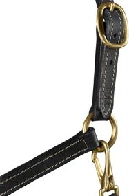 img 1 attached to 🐴 Premium HORZE Fremont Synthetic Leather Horse Halter: Adjustable, Brass Hardware & Contrast Stitching