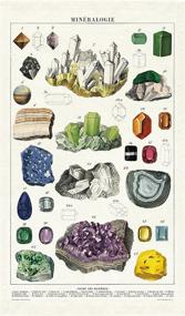 img 3 attached to Cavallini Papers Co Vintage Mineralogy