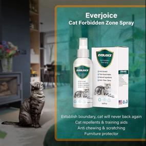 img 1 attached to 🐈 EverJoice Cat Repellent Spray - Effective Anti Chew and Scratch Training Aid for Cats & Kittens, Couch and Furniture Protector - Indoor & Outdoor Use. Ideal Deterrent Spray for Plant and Furniture Protection