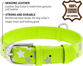 img 1 attached to WAUDOG Reflective Leather Dog Collar