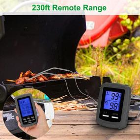 img 2 attached to 🔥 EAAGD Wireless Remote Digital Cooking Meat Thermometer with 2 Probes - Ideal for Grilling, Oven, Kitchen, Smoker, BBQ - Includes 4pcs AAA Battery (Gray)