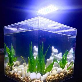 img 2 attached to 🐠 Enhance Your Aquarium with the Seven Master Clip-On LED Light Clamp Fish Tank Light (Black)