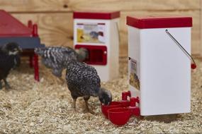 img 1 attached to 🐥 1-Gallon Small Cage Waterer for Chicks, Quails, Pigeons, and Gamebirds