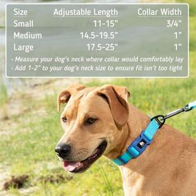 img 2 attached to 🐶 Leashboss Waterproof Dog Collar: Odor-Free, Fast-Drying Coated Nylon for Easy Beach and Swimming, Adjustable and Quick Release!