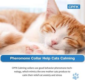 img 3 attached to CPFK Cat Calming Collar - 3 Pack Pheromone Calm Anxiety Collar for Cats and Kittens - Stress Reliever & Comfortable Gray Collar - Breakaway Design for Relaxation