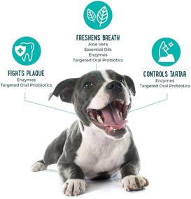img 1 attached to 🦷 Impressive Oral PROBIOTIC Dog Dental Water Additive - Refreshing Breath Freshener for Dogs - Powerful Oral Care for Canine Bad Breath, Plaque & Tartar Control