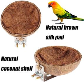 img 3 attached to 🥥 Coconut Shell Bird Breeding Hatching Nest - Tfwadmx Natural Parrot Nesting Box Cage Hatch House Hut Cave - Parrot Cage Accessories Toys for Budgie Parakeet Cockatiel