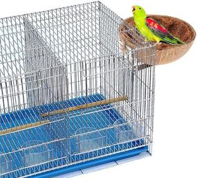 img 1 attached to 🥥 Coconut Shell Bird Breeding Hatching Nest - Tfwadmx Natural Parrot Nesting Box Cage Hatch House Hut Cave - Parrot Cage Accessories Toys for Budgie Parakeet Cockatiel