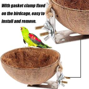 img 2 attached to 🥥 Coconut Shell Bird Breeding Hatching Nest - Tfwadmx Natural Parrot Nesting Box Cage Hatch House Hut Cave - Parrot Cage Accessories Toys for Budgie Parakeet Cockatiel