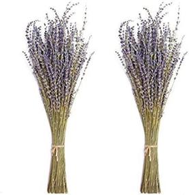 img 3 attached to Timoo Natural Dried Lavender Bundles - Decorative Lavender Flowers for Home, Photography, Fragrance - Pack of 2 Bundles