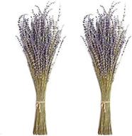 timoo natural dried lavender bundles - decorative lavender flowers for home, photography, fragrance - pack of 2 bundles logo