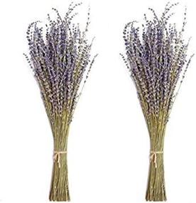img 4 attached to Timoo Natural Dried Lavender Bundles - Decorative Lavender Flowers for Home, Photography, Fragrance - Pack of 2 Bundles