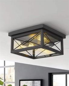 img 1 attached to 🔦 Emliviar 12 Inch Ceiling Light Fixture: Sleek Flush Mount in Black Finish for Modern Interiors - 2 Lights, Model 0387B-CL BK