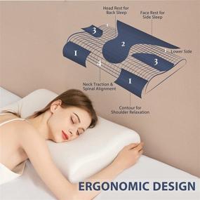 img 2 attached to 🌙 NESTLOGIC Ergonomic Cervical Pillow - Contour Memory Foam for Neck Pain and Headaches | Orthopedic Bed Pillow with Washable Cover | Neck Support Pillows for Sleeping | CertiPUR-US Certified