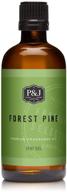 captivating forest pine fragrance oil - high-quality aromatic oil - 100ml/3.3oz logo
