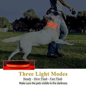 img 2 attached to 🐶 Enhance Pet Safety with the PICURA LED Safety Dog Collar: USB Rechargeable, Adjustable Size, Waterproof, Flashing/Strobe Light - Ideal for Medium-sized Dogs, Red