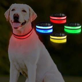 img 4 attached to 🐶 Enhance Pet Safety with the PICURA LED Safety Dog Collar: USB Rechargeable, Adjustable Size, Waterproof, Flashing/Strobe Light - Ideal for Medium-sized Dogs, Red