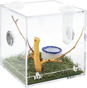 img 4 attached to Jumping Spider Terrarium Snail Container - Acrylic Critter Keeper, Reptile Insect Enclosure, Habitat Cage with Accessories, Tank for Isopods, Lizards, and Roaches - Roach Feeding Box