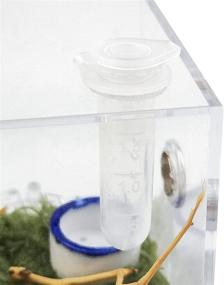 img 3 attached to Jumping Spider Terrarium Snail Container - Acrylic Critter Keeper, Reptile Insect Enclosure, Habitat Cage with Accessories, Tank for Isopods, Lizards, and Roaches - Roach Feeding Box