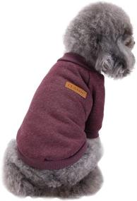 img 4 attached to 🐶 Mummumi Small Dog Clothes: Soft Thickening Warm Autumn Outwear for Small Dog Chihuahua, Yorkshire Terrier, Poodle – Puppy Windproof Dog Knit Sweaters Winter Apparel Outfit