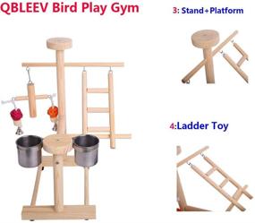 img 2 attached to 🦜 QBLEEV Parrot Playstand Perch: Ultimate Play Gym for Cockatiels & Small Birds with Hanging Toys, Swing, Ladders, Feeder Cup & More