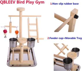 img 3 attached to 🦜 QBLEEV Parrot Playstand Perch: Ultimate Play Gym for Cockatiels & Small Birds with Hanging Toys, Swing, Ladders, Feeder Cup & More