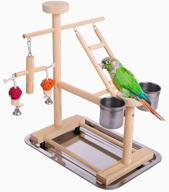 🦜 qbleev parrot playstand perch: ultimate play gym for cockatiels & small birds with hanging toys, swing, ladders, feeder cup & more логотип