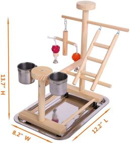 img 1 attached to 🦜 QBLEEV Parrot Playstand Perch: Ultimate Play Gym for Cockatiels & Small Birds with Hanging Toys, Swing, Ladders, Feeder Cup & More