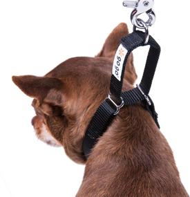 img 2 attached to 🐶 GoGo Pet Products GoGo Martingale Dog Collar - 3/4-Inch Medium Size in Sleek Black
