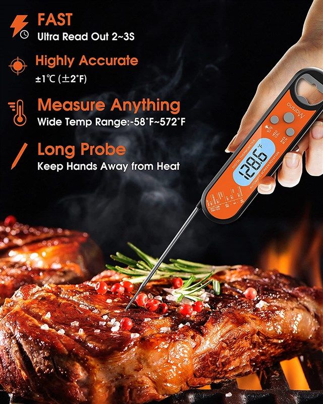  Waterproof Digital Meat Thermometer for Cooking, Instant Read  Food Thermometer with Backlight, Built-in Magnet, Calibration, and Long  Foldable Probe for Kitchen Deep Fry Grill BBQ Candy : Home & Kitchen