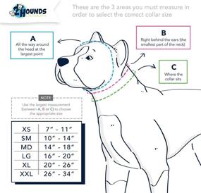 img 2 attached to 🌎 Earth-Style Martingale Dog Collar by 2 Hounds Design: Adjustable Safety Collar for Small, Medium & Large Breed Dogs, Made in the USA with Recycled Plastic Bottles