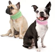 pupteck bandanas doggies colorful comfortable dogs логотип