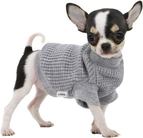 img 4 attached to 🐶 LOPHIPETS Puppy Sweaters for Small Dog Breeds: Chihuahua, Yorkie, and More