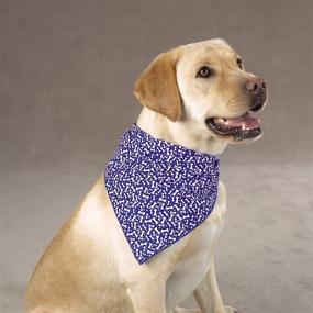 img 3 attached to Aria Blue Ribbon Bone Bandana