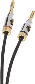 img 2 attached to High-Quality 16AWG Speaker Cable Wire with Gold-Plated Banana Tip 🔊 Plugs (4mm) - CL2 Rated - 99.9% Oxygen-Free Copper - 6-Foot Length