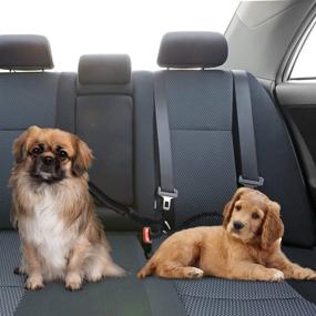 img 3 attached to 🐾 Slowton Double Dog Car Seat Belt: Dual Pet Safety Seatbelt for Secure Car Travel with Adjustable Coupler Lead, Elastic Bungee, Reflective Stripe - Ideal for Two Pets on Car Trips