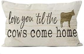 img 2 attached to YUEMAYLY Farmhouse Rustic Pillow Decorations
